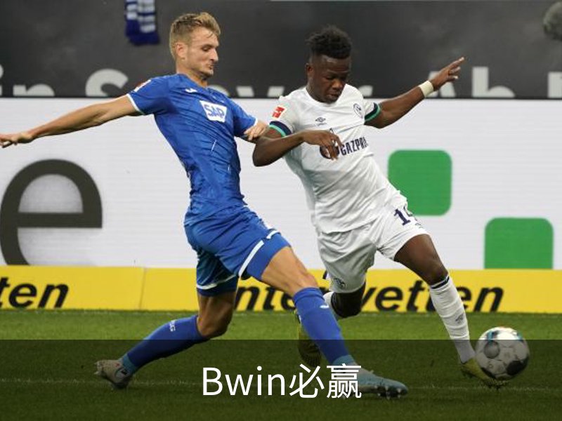 Bwin必赢概况